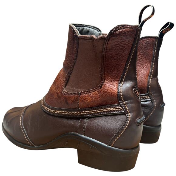 ARIAT Scout Paddock Women 9.5 English Riding Boot Brown Leather Ankle *READ* - Picture 3 of 15